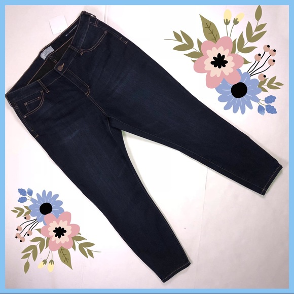 molly and isadora plus size jeans